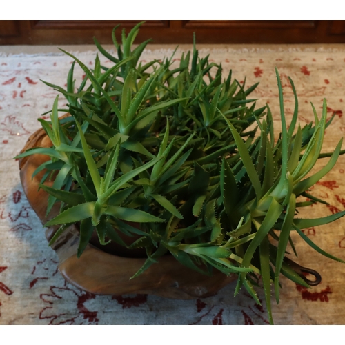 1279 - A large 2-handled copper pan with a quantity of cacti on wood tree trunk base. This Lot is not held ... 