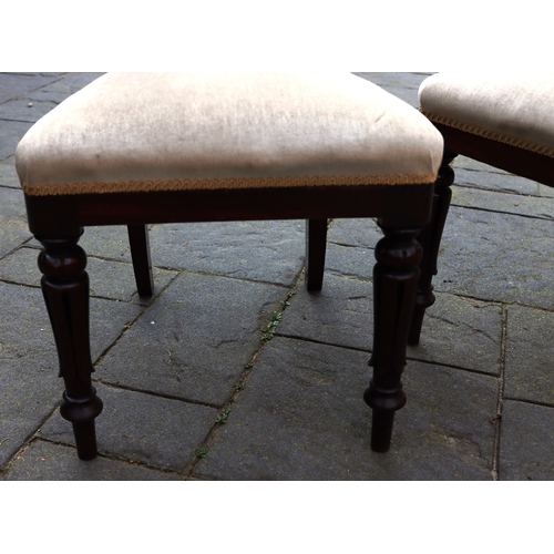 1288 - A set of 4 mahogany chairs with dark cream brush fabric seats on turned front legs. This Lot is not ... 