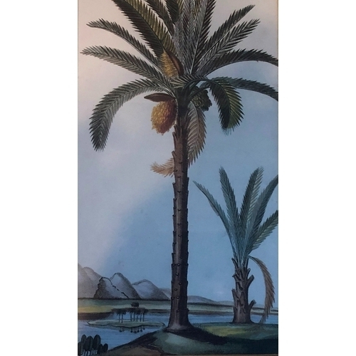 1172 - 2 coloured prints of tropical palm trees and fruits, both in gilt frames.