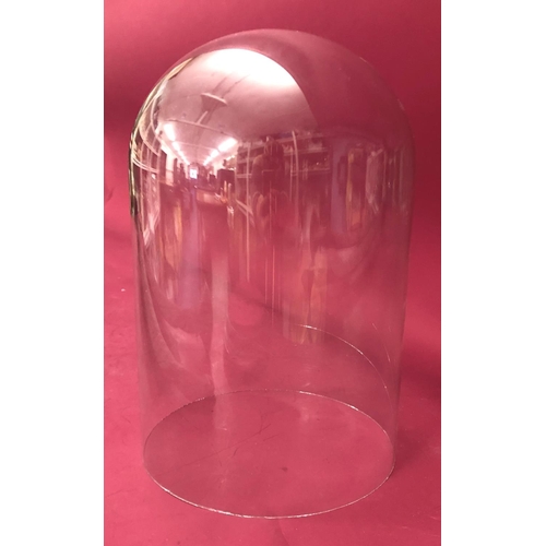 1237 - A glass dome on mahogany base, base 26cm diameter, dome 31cm high, 35cm high with base.