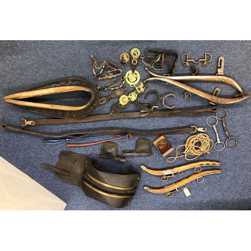 1251 - A quantity of horse harnesses, including neck straps, horse brasses, whips etc.