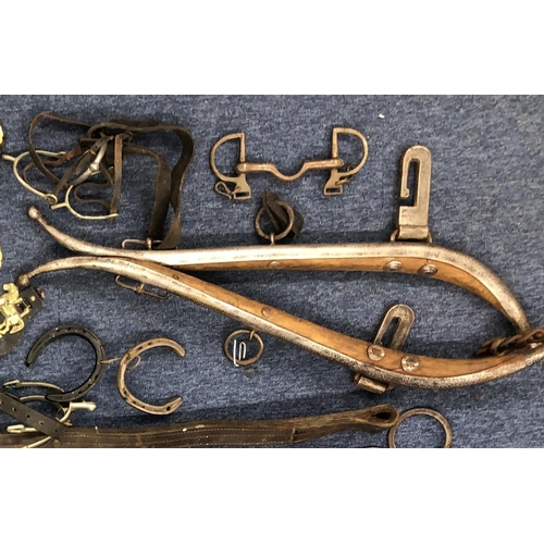 1251 - A quantity of horse harnesses, including neck straps, horse brasses, whips etc.