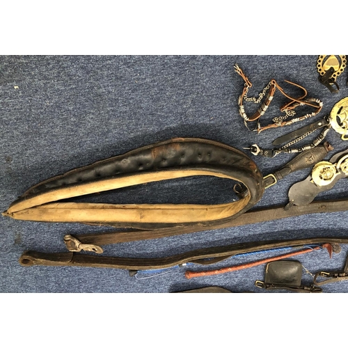 1251 - A quantity of horse harnesses, including neck straps, horse brasses, whips etc.