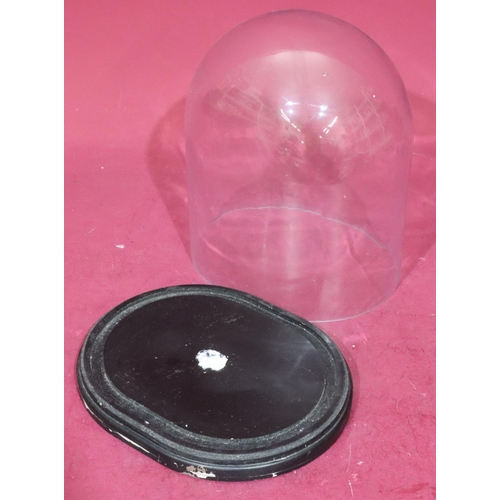 187 - A glass dome with oval black base, 28cm high overall