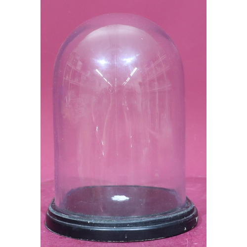 187 - A glass dome with oval black base, 28cm high overall