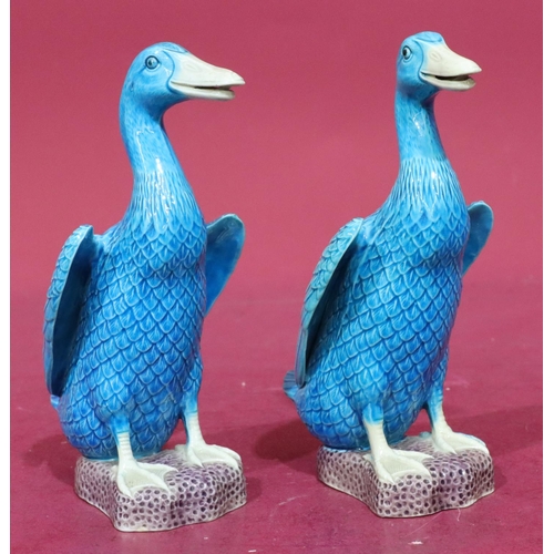 197 - A pair of glazed earthenware Oriental figures of ducks on turquoise ground, 20cm high