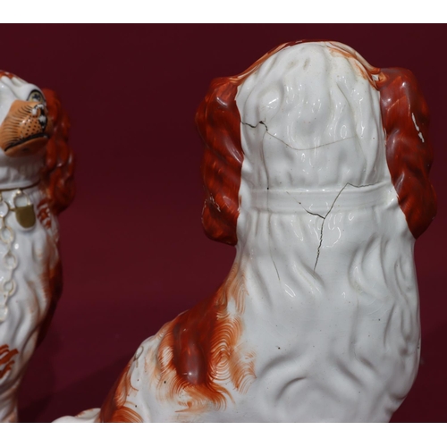 215 - A pair of 19th Century Staffordshire figures of seated spaniels on white and red ground with gilt ch... 