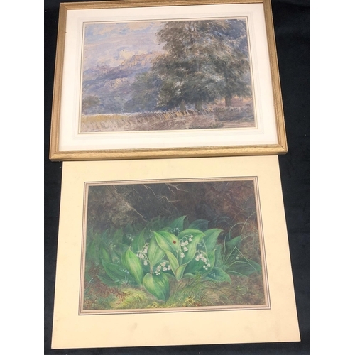 2037 - A watercolour of trees with mountains in the background, 36.5cm x 26.5cm, in wood frame and an unfra... 