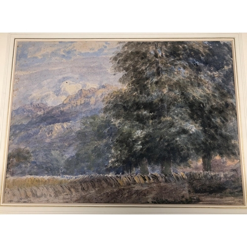 2037 - A watercolour of trees with mountains in the background, 36.5cm x 26.5cm, in wood frame and an unfra... 