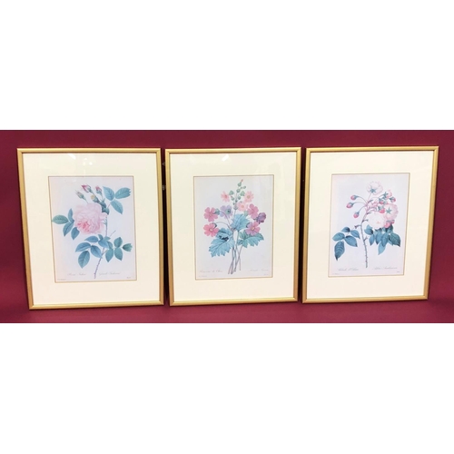 3092 - 3 coloured floral prints 18 x 24cm, each in matching gilt frames.