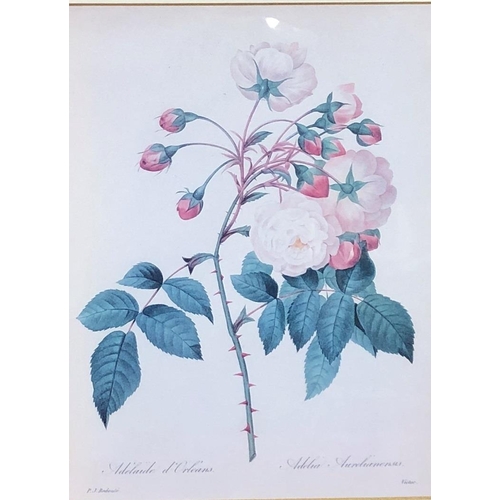 3092 - 3 coloured floral prints 18 x 24cm, each in matching gilt frames.