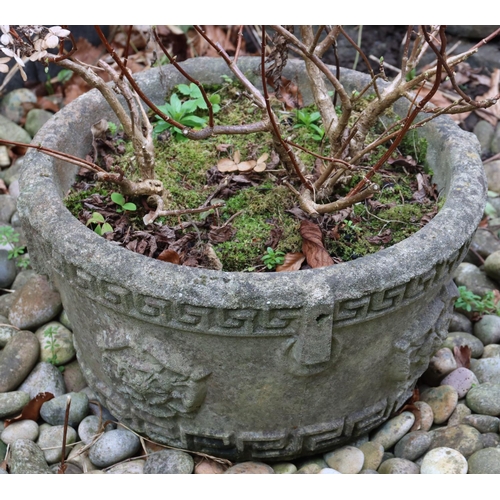 3193 - A stone planter, diameter to top 49cm, 27cm high. (Condition of plant not guaranteed). (This item is... 