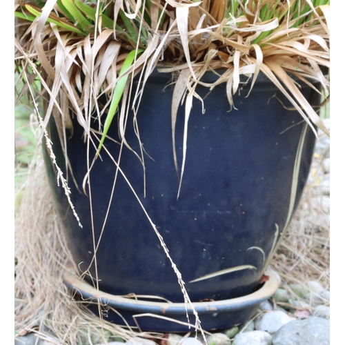 3196 - A blue glazed garden pot with tray below, 44cm high overall. (Condition of plant not guaranteed). (T... 