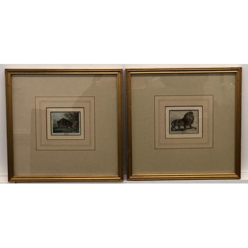 3223 - 2 small engravings of a lion and a wild boar, both in gilt frames, 7.5cm x 6cm (engravings), frames ... 