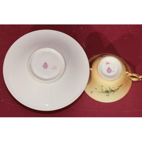 70 - A Royal Worcester Blush 2-handled cup and saucer with multi-coloured floral, leaf and gilt decoratio... 