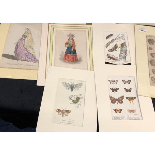 3397 - A quantity of various coloured and black and white prints of people, butterflies, snakes, shells, bi... 