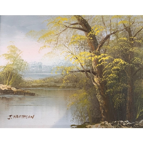 3344 - G. Albert oil on board depicting river and trees, 24 x 19cm in gilt frame and J. Keithson oil on boa... 