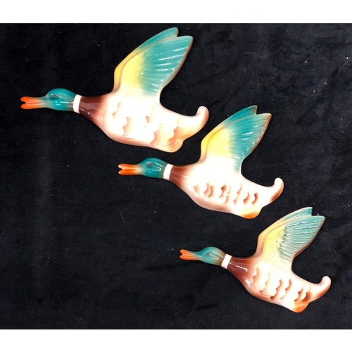 3552 - Set of 3 graduated flying duck wall hangings, largest 20cm long.