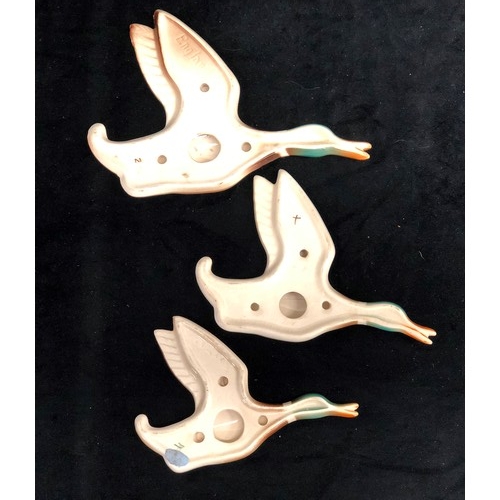 3552 - Set of 3 graduated flying duck wall hangings, largest 20cm long.