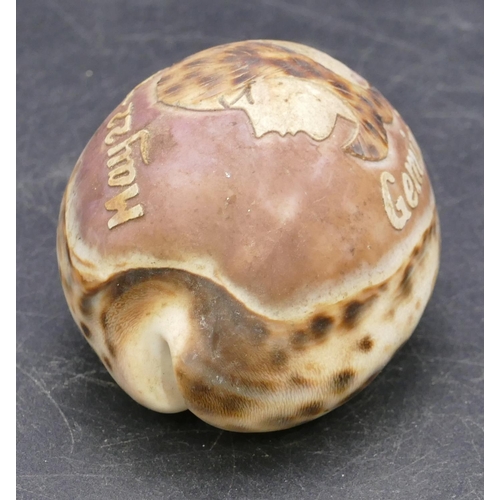 730 - A small carved shell 