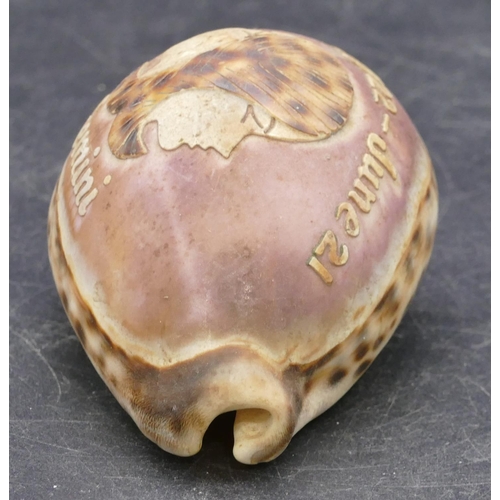 730 - A small carved shell 