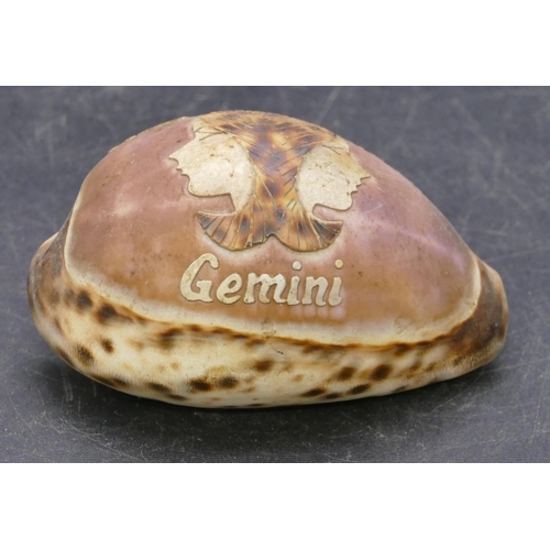 730 - A small carved shell 