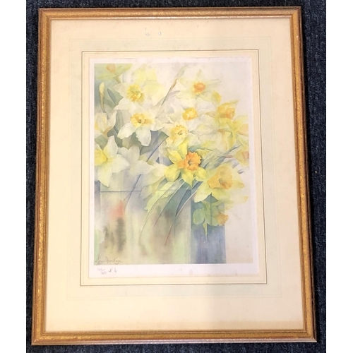 4003 - Karen Armitage limited edition print of daffodils, 146/250, 29 x 39cm, in gilt frame.