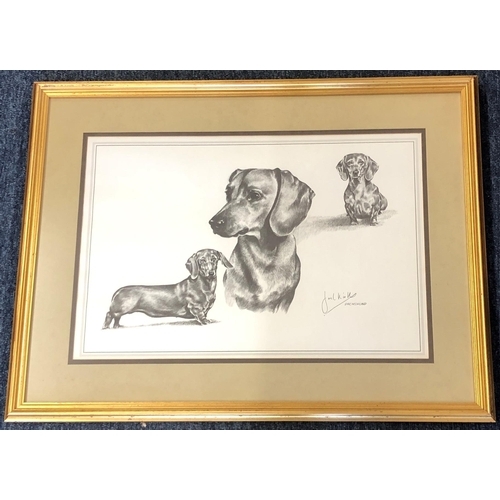 4005 - A black and white pencil print of 3 dachshund dogs, 46.5 x 31cm, in gilt frame.