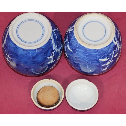 104 - A pair of Oriental round bulbous lidded ginger jars on blue and white ground with branch and blossom... 