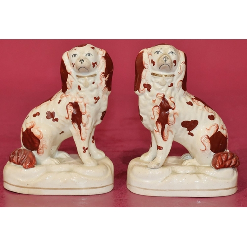 127 - A pair of 19th Century Staffordshire figures of seated spaniels on white and red ground, 13.5cm high... 