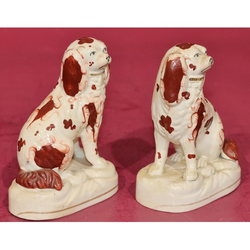 127 - A pair of 19th Century Staffordshire figures of seated spaniels on white and red ground, 13.5cm high... 