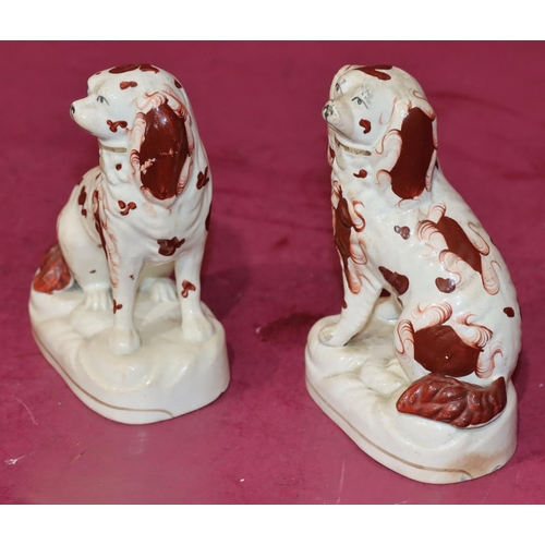 127 - A pair of 19th Century Staffordshire figures of seated spaniels on white and red ground, 13.5cm high... 