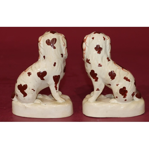 127 - A pair of 19th Century Staffordshire figures of seated spaniels on white and red ground, 13.5cm high... 