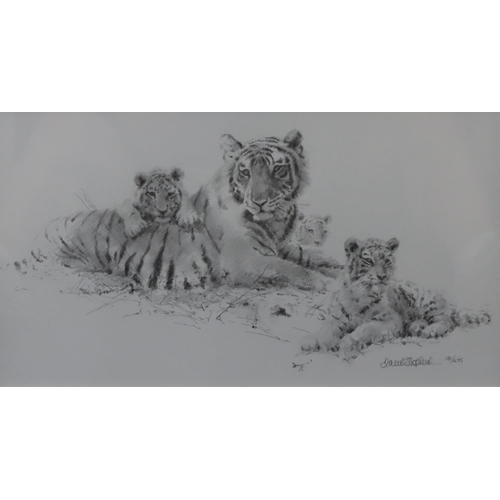 166 - David Shepherd, signed limited edition black and white print depicting tigress and cubs, signed in p... 