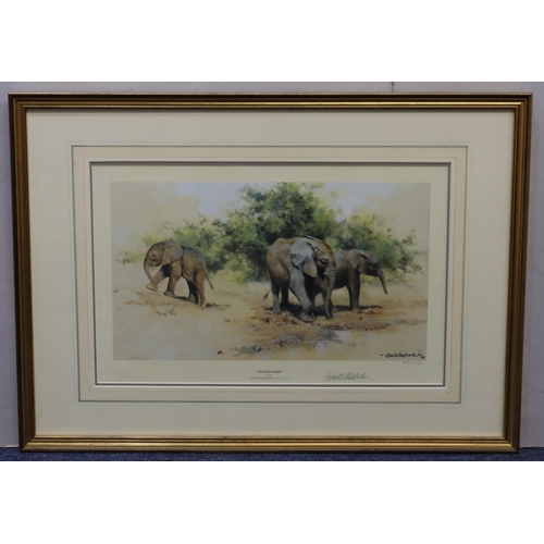 167 - David Shepherd, signed limited edition coloured print 