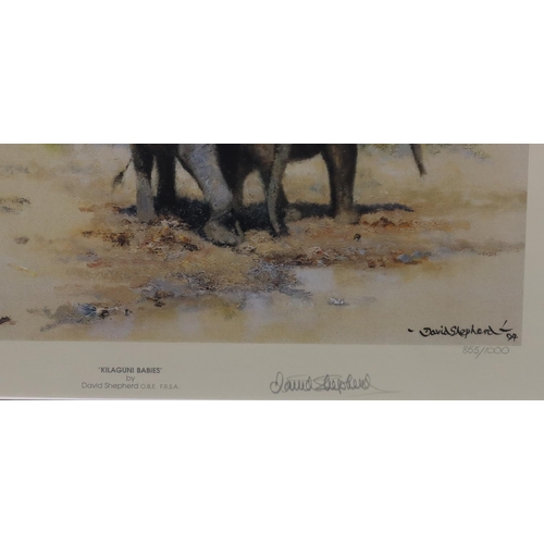 167 - David Shepherd, signed limited edition coloured print 