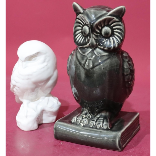 28 - A glazed figure of a standing owl upon a book on grey ground, 25cm high and a Poole white china figu... 