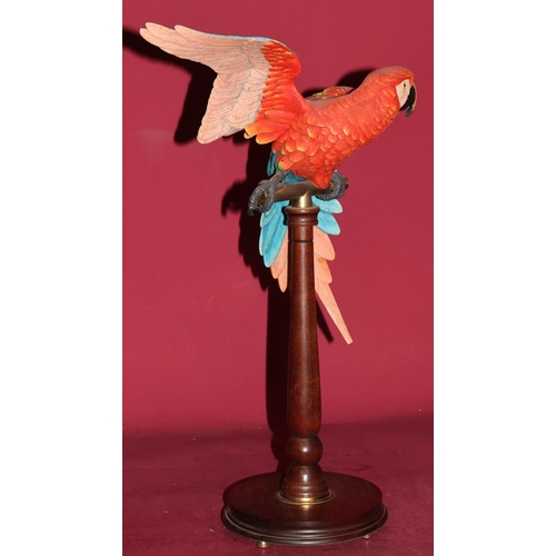 648 - The Borders Fine Arts group limited edition Exotic Bird Collection model 