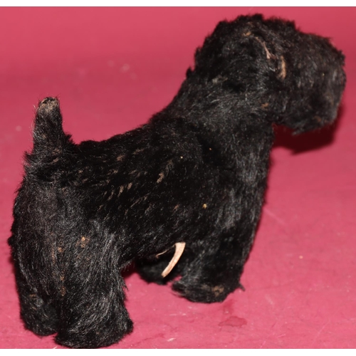 651 - A Chiltern small figure of a black Scottie dog with glass eyes, 22.5cm long