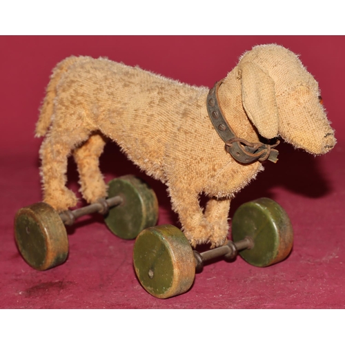 653 - An early pre-war Steiff Dachshund pull toy (1 glass eye missing and worn all over) on green painted ... 