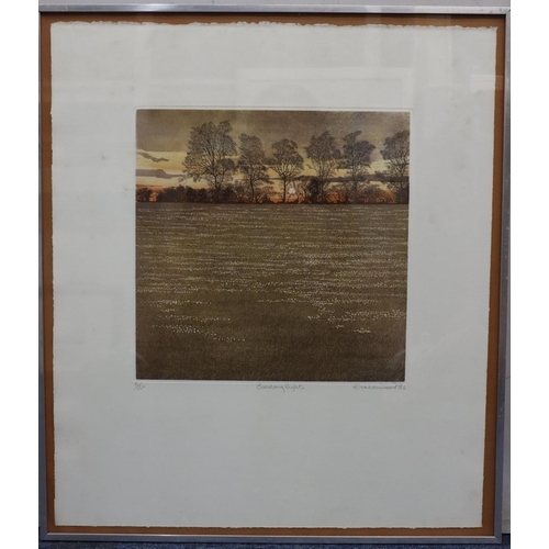 192 - Phil Greenwood, signed limited edition coloured print 