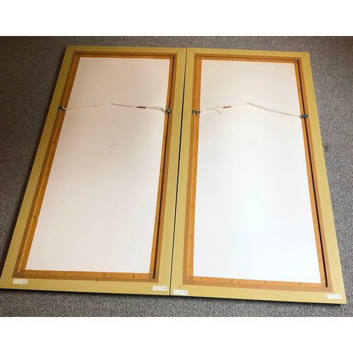 4286 - A pair of Japanese style prints in silver coloured frames, 54 x 113cm overall.