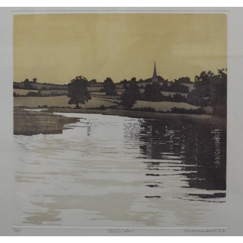 191 - Phil Greenwood, signed coloured etching 