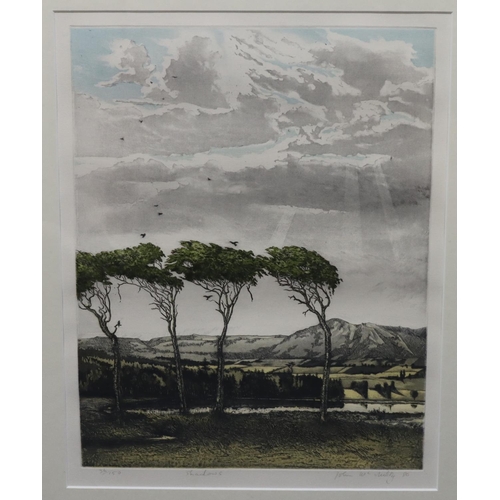 178 - John McNulty, 2 signed limited edition coloured etchings, 