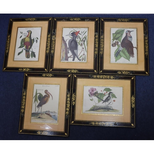 186 - A set of 5 Continental coloured prints of various birds, all mounted in chinoiserie style frames, 42... 