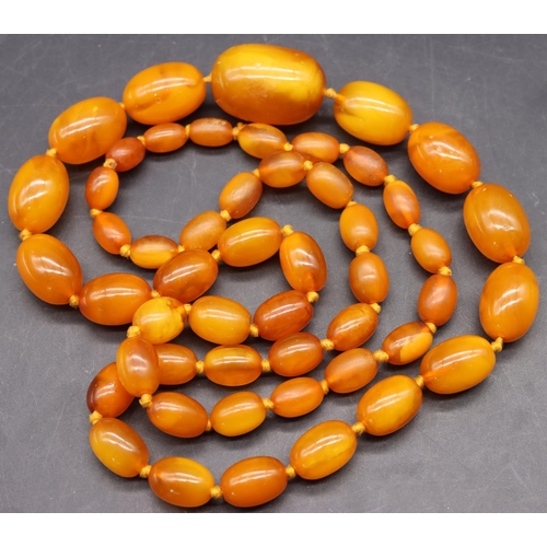 510 - A butterscotch amber graduated bead necklace, 85cm long, 56 grams gross