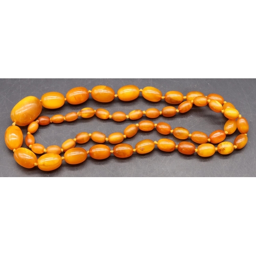 510 - A butterscotch amber graduated bead necklace, 85cm long, 56 grams gross