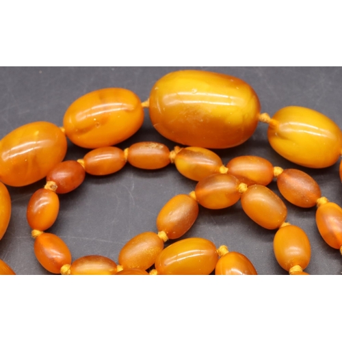 510 - A butterscotch amber graduated bead necklace, 85cm long, 56 grams gross