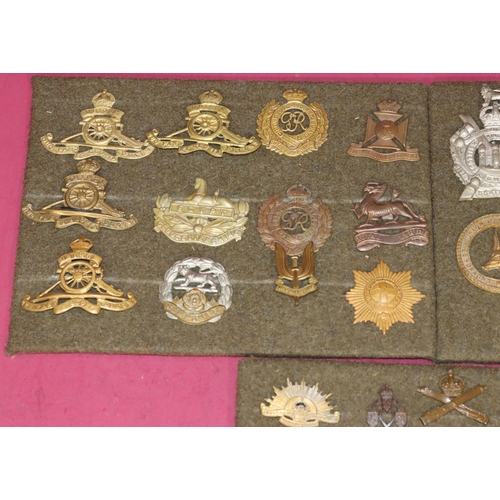 643 - A small quantity of various military cap badges etc. on 3 green panels