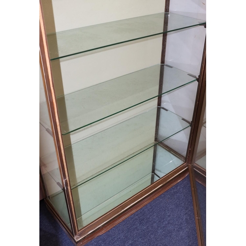 825 - A 19th/20th Century heavy brass and glass display cabinet with single glass door and sides enclosing... 